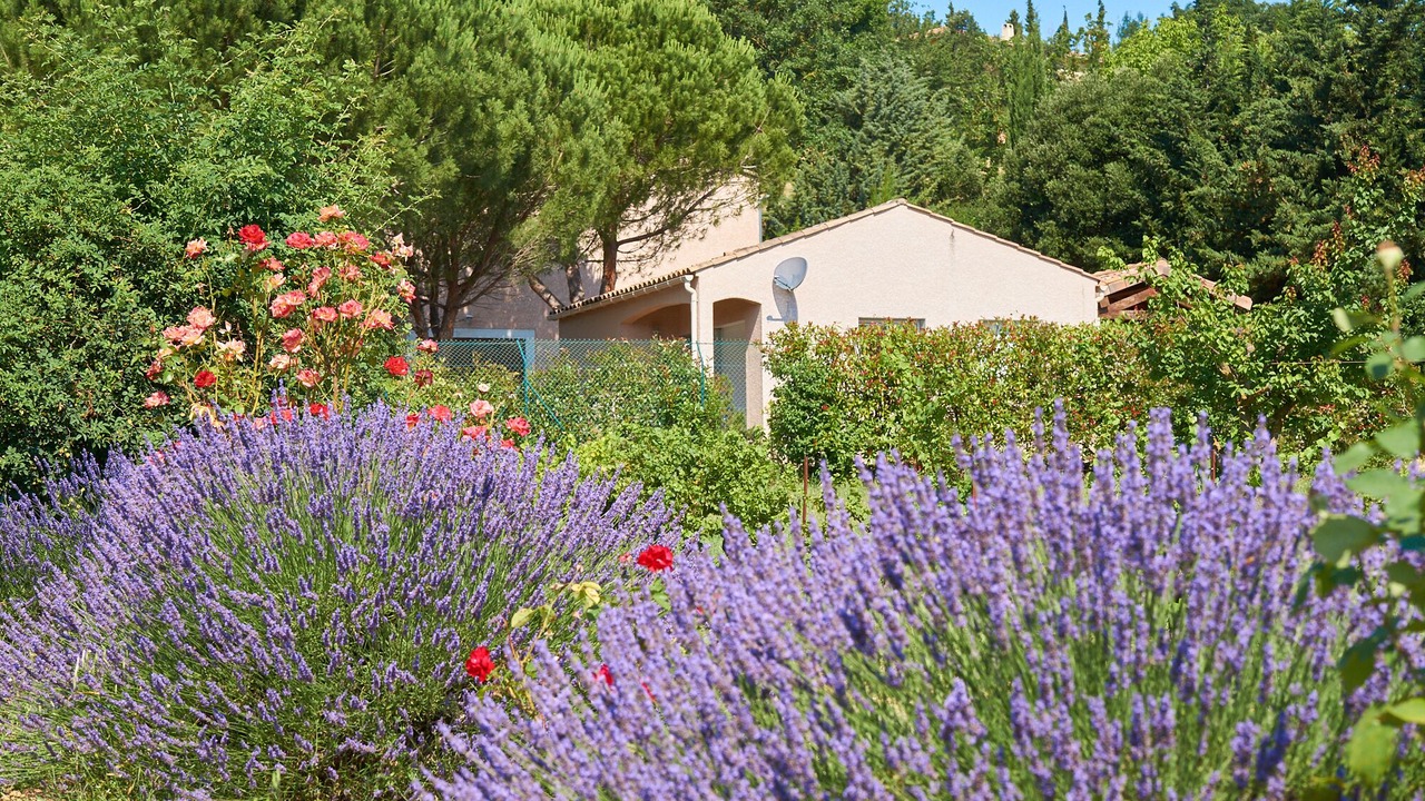 Photo of Outdoor in Cournanel