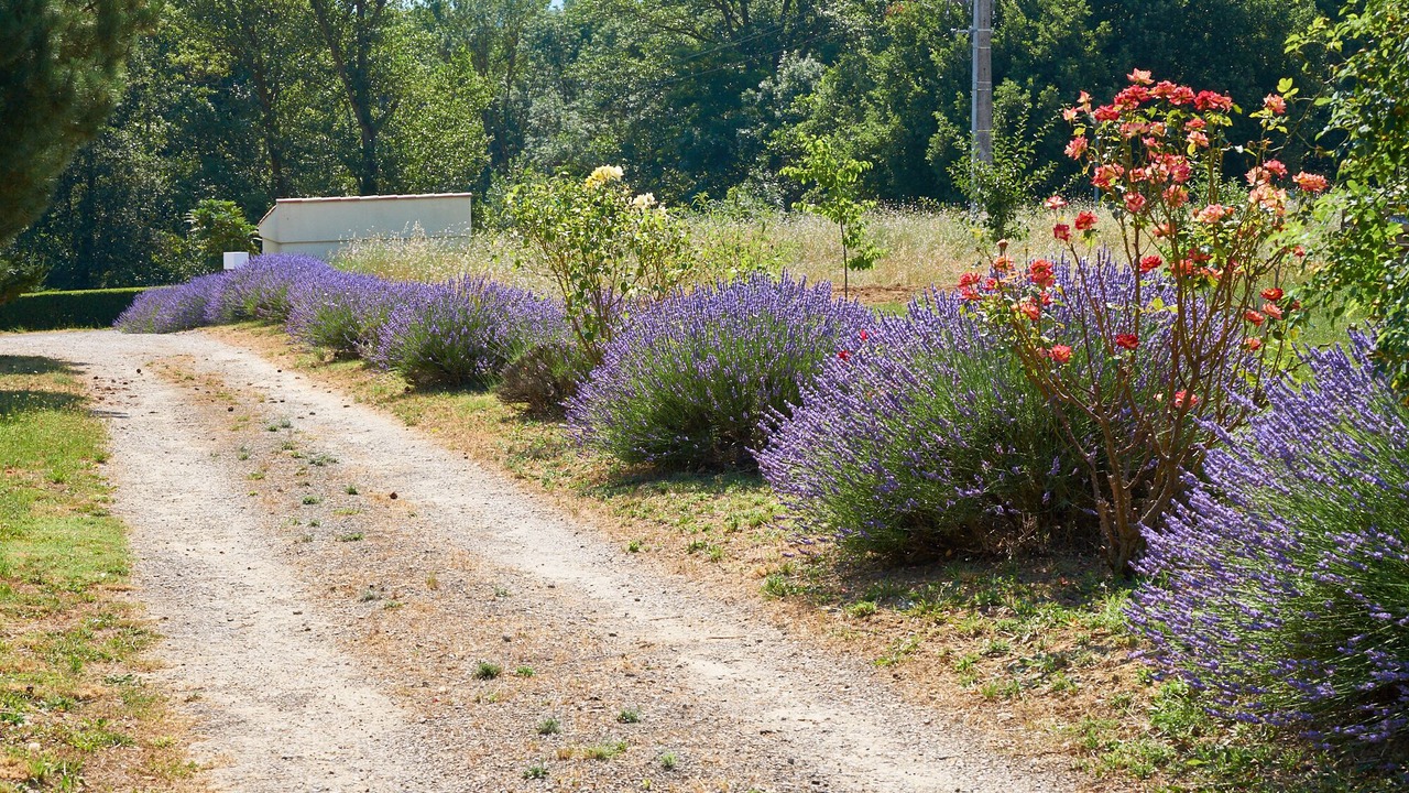 Photo of Outdoor in Cournanel