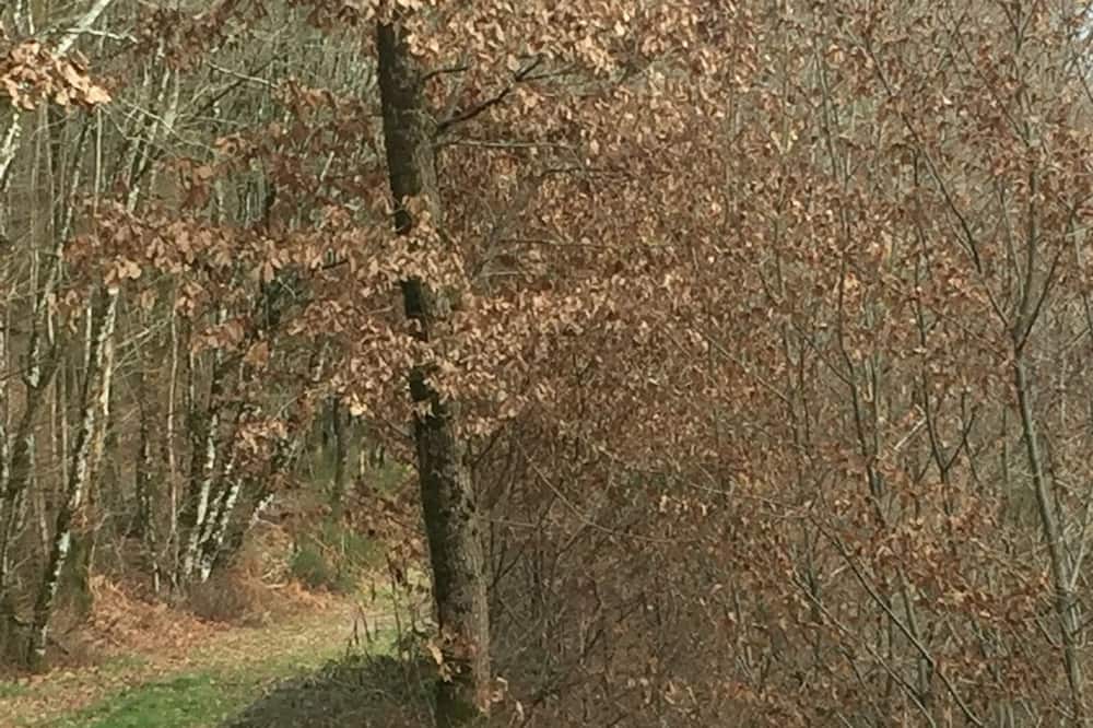 Photo of Others in Benest