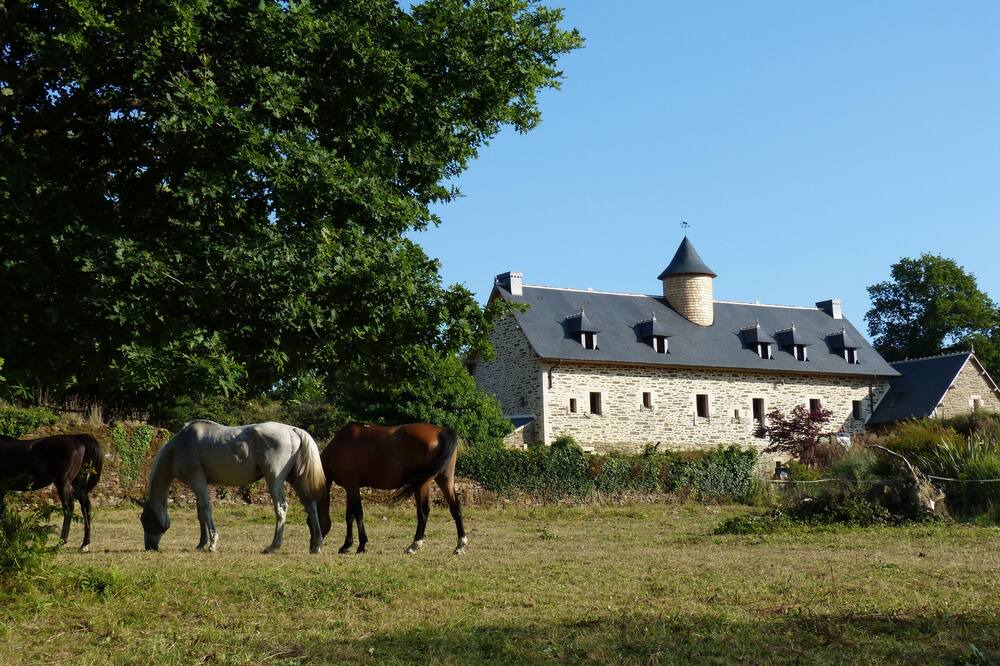 Photo of Outdoor in Loperec