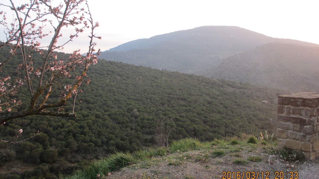 Photo of Outdoor in Vendemies