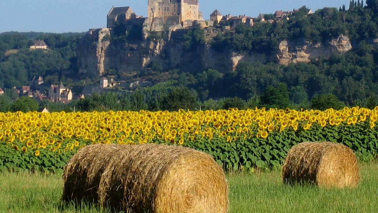 Photo of Outdoor in Daglan