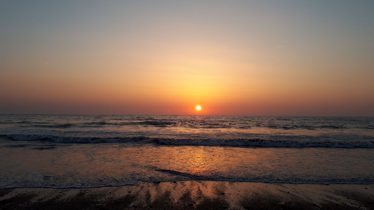 Photo of Others in Saint-Georges-d'Oleron