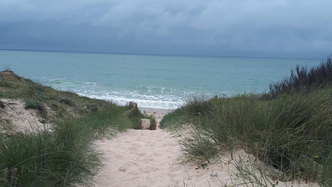 Photo of Others in Saint-Georges-d'Oleron