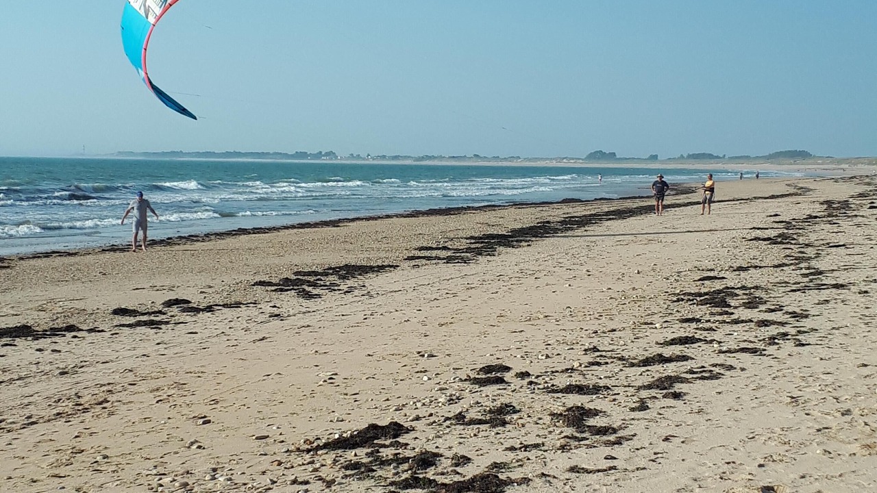 Photo of Others in Saint-Georges-d'Oleron