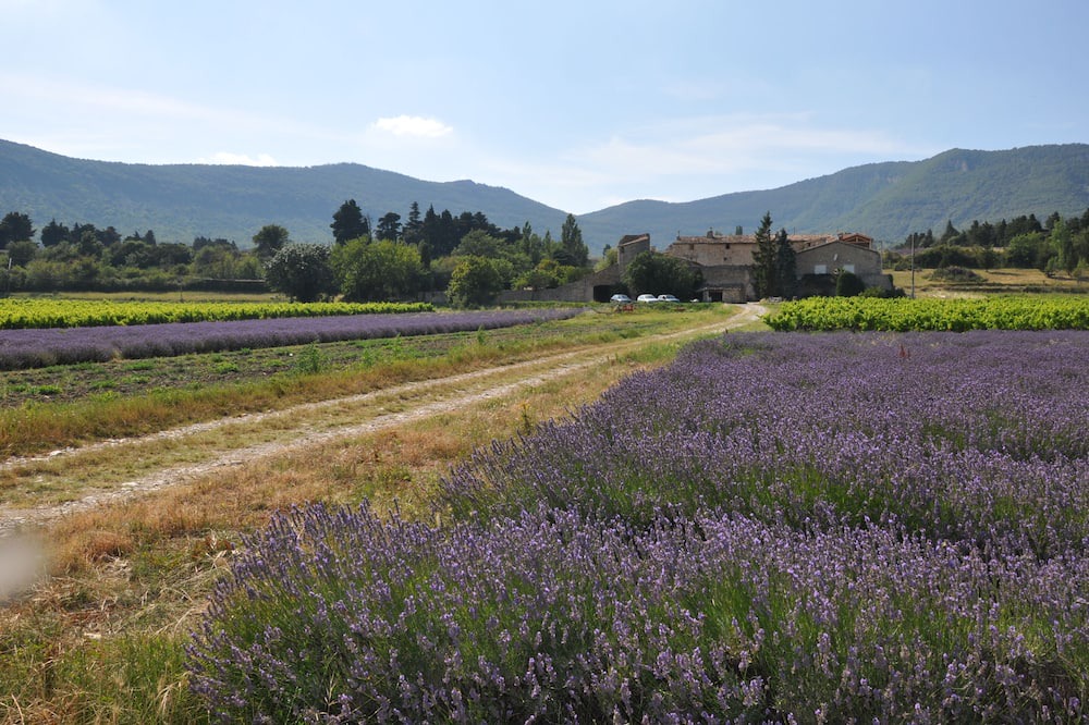 Photo of Outdoor in Roche-Saint-Secret