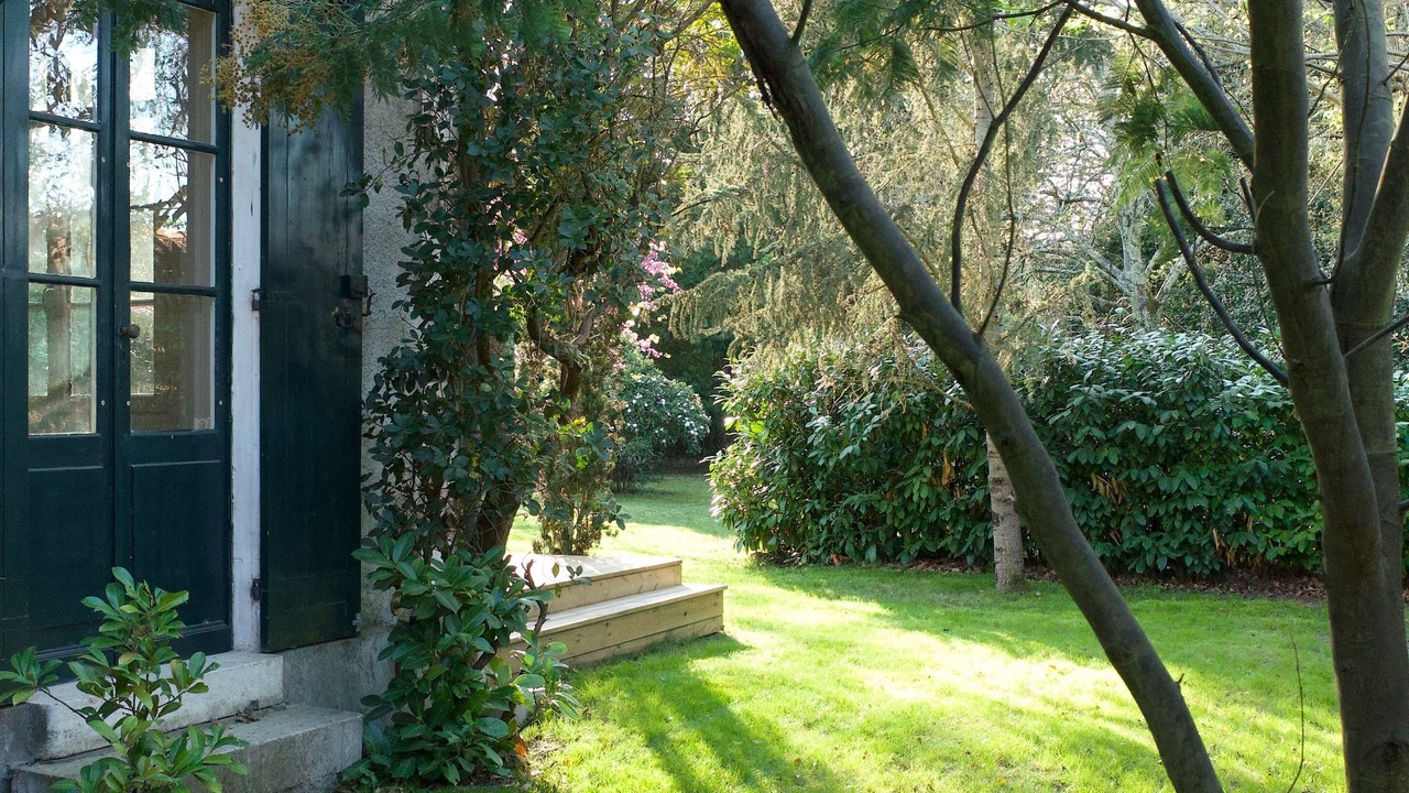 Photo of Outdoor in Cazaux