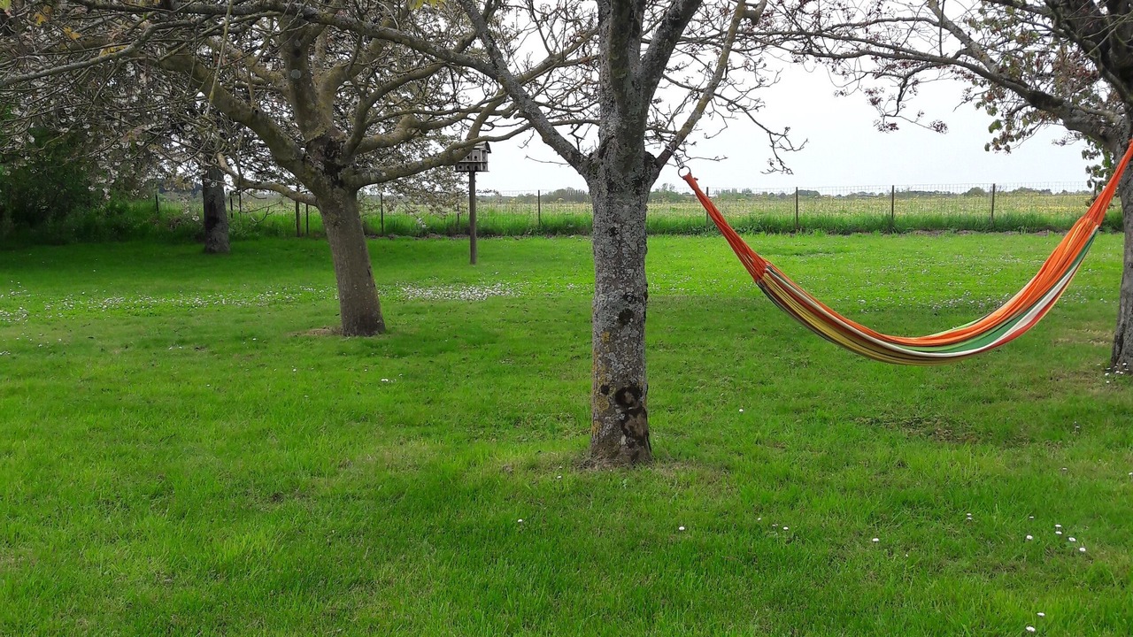 Photo of Outdoor in St Benoist-sur-Mer