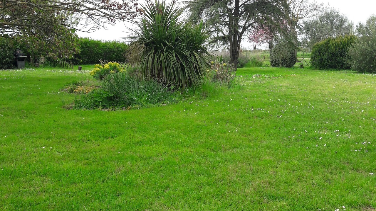 Photo of Others in St Benoist-sur-Mer