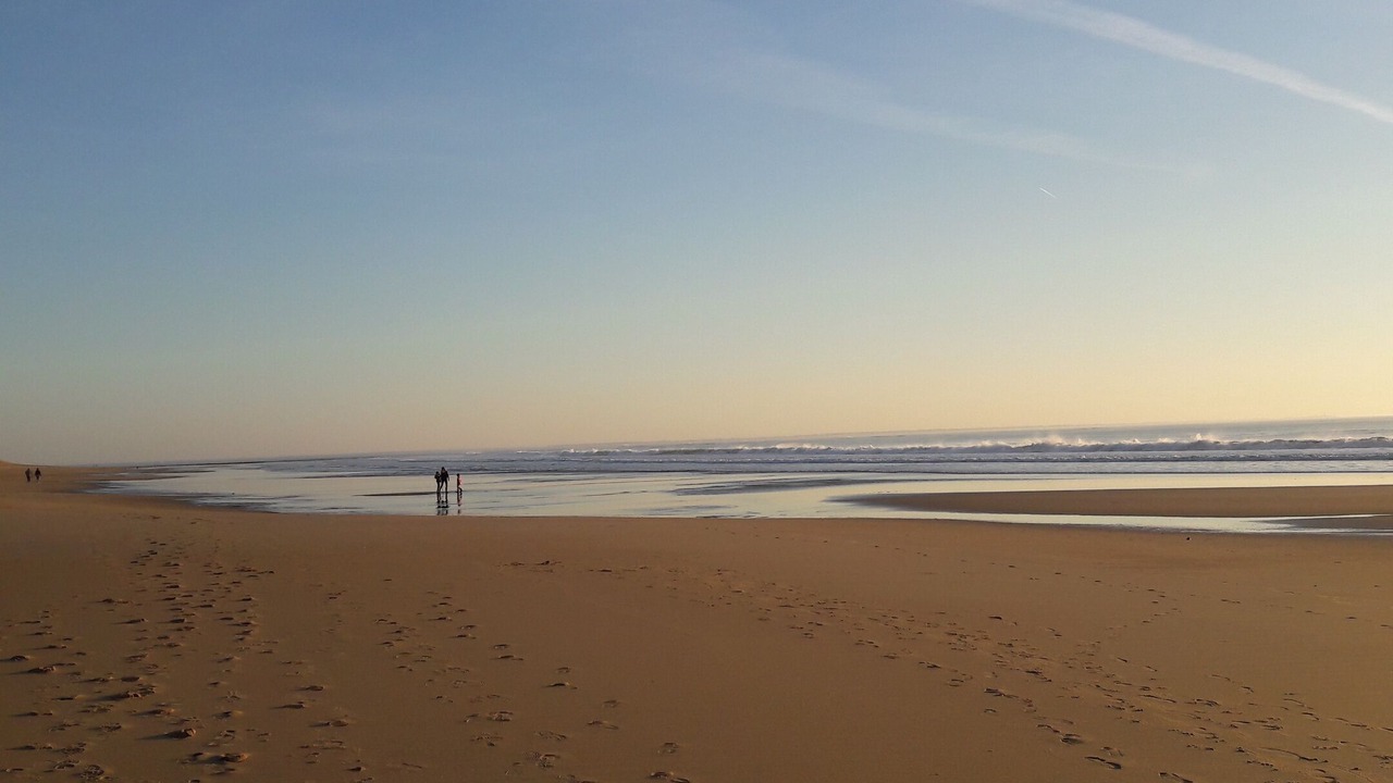 Photo of Others in St Benoist-sur-Mer