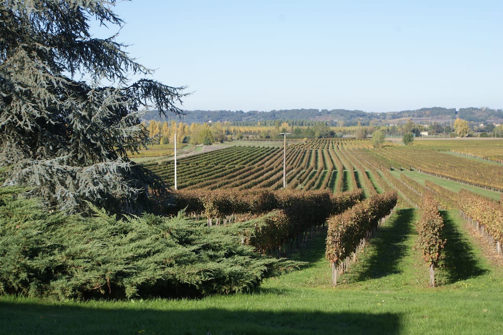 Photo of Outdoor in Castillon - Pujols Intercommunalite