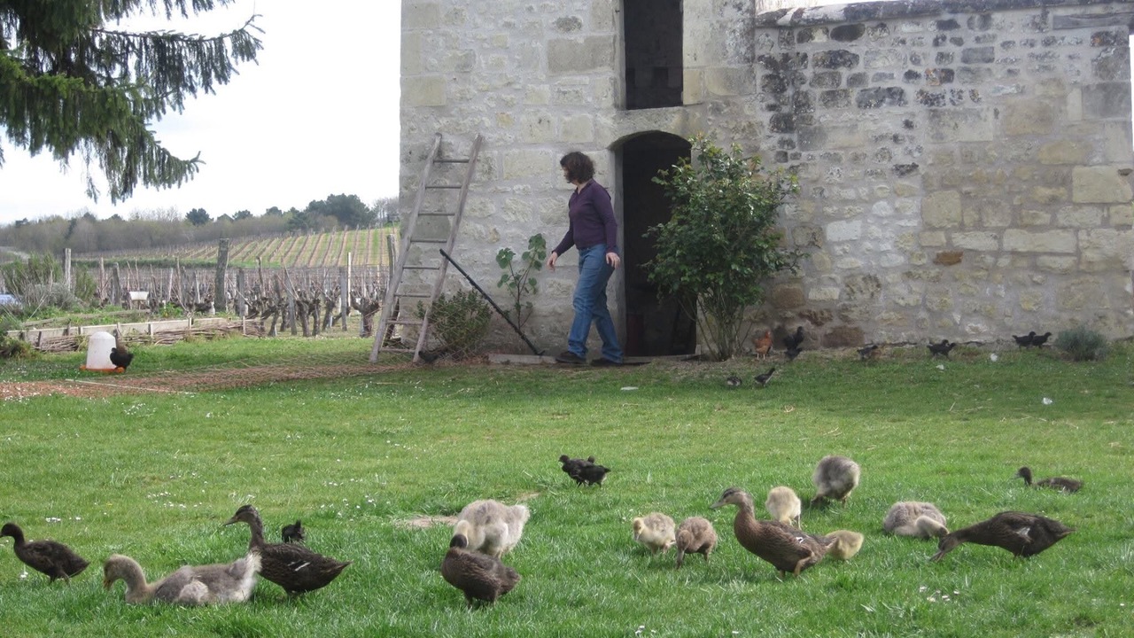 Photo of Outdoor in Ingrandes-de-Touraine