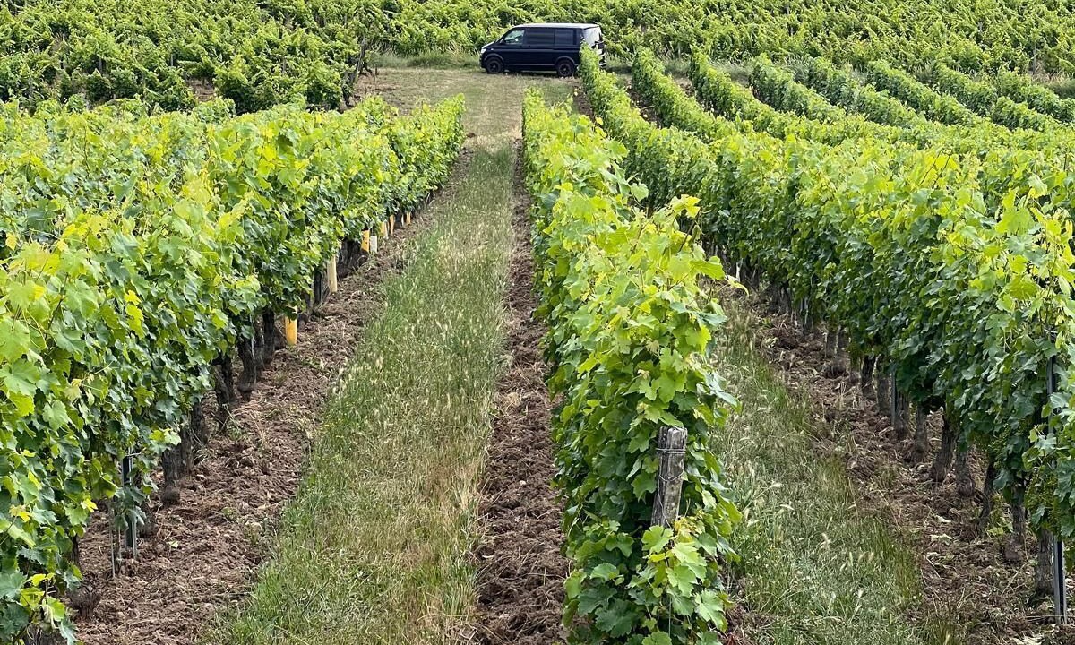 Photo of Outdoor in Ingrandes-de-Touraine