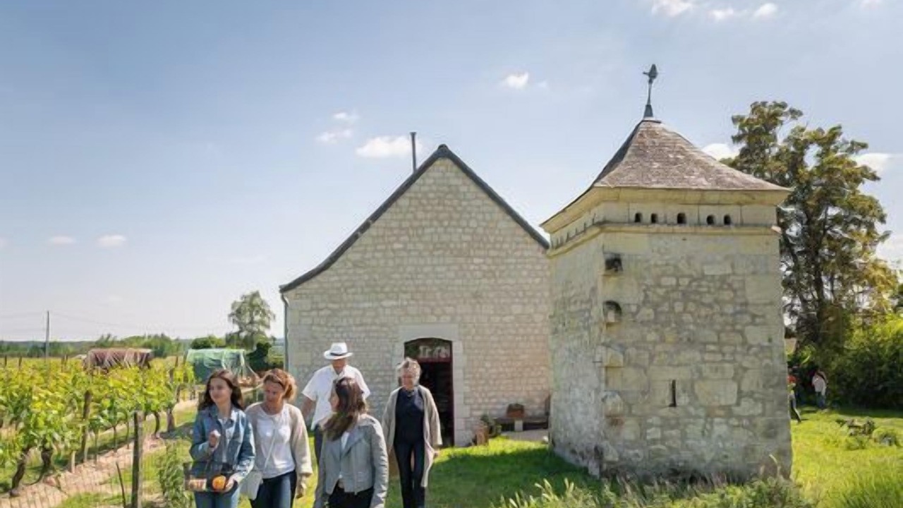 Photo of Outdoor in Ingrandes-de-Touraine