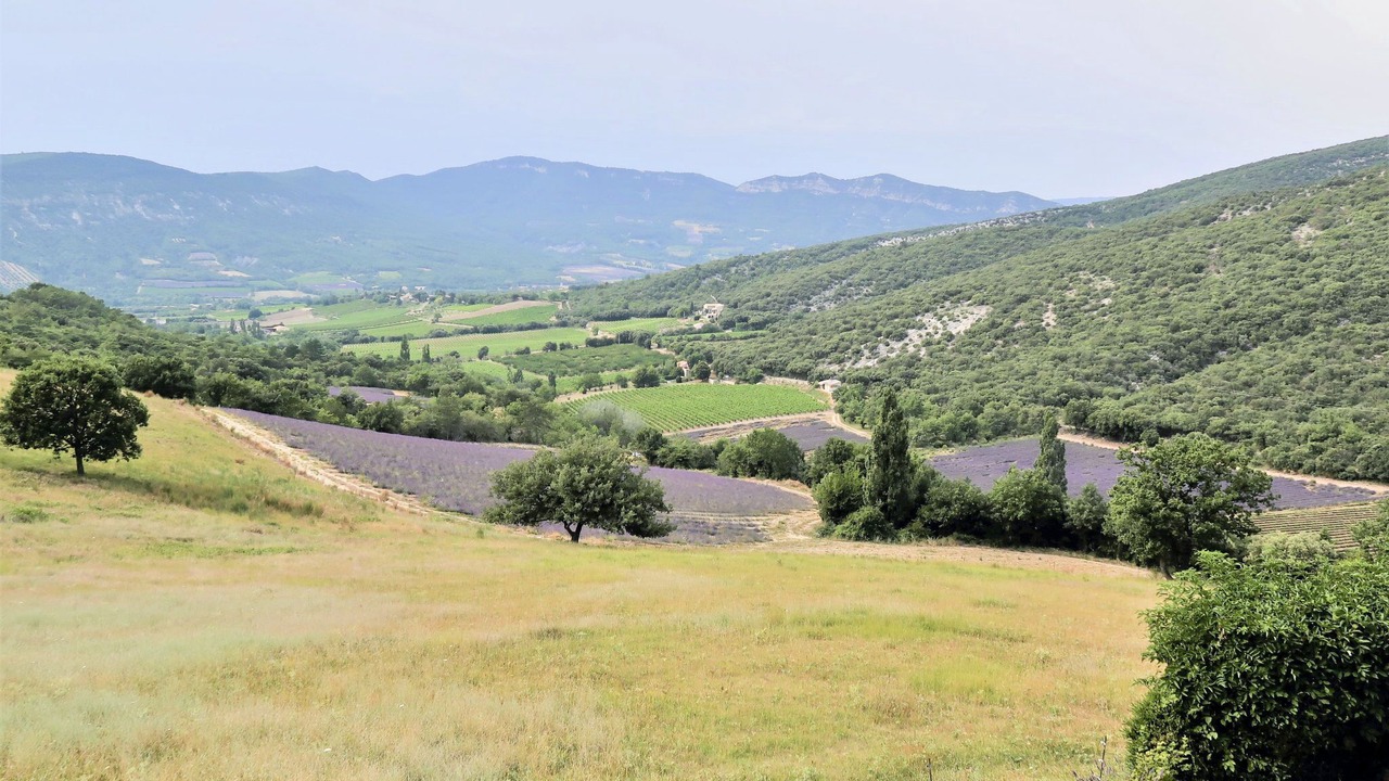 Photo of Outdoor in Roche-Saint-Secret