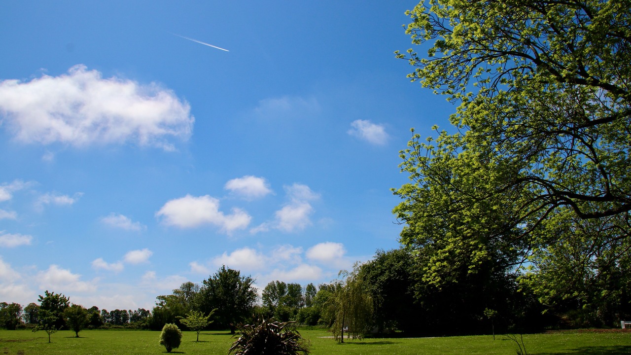 Photo of Outdoor in Tracy-sur-Mer