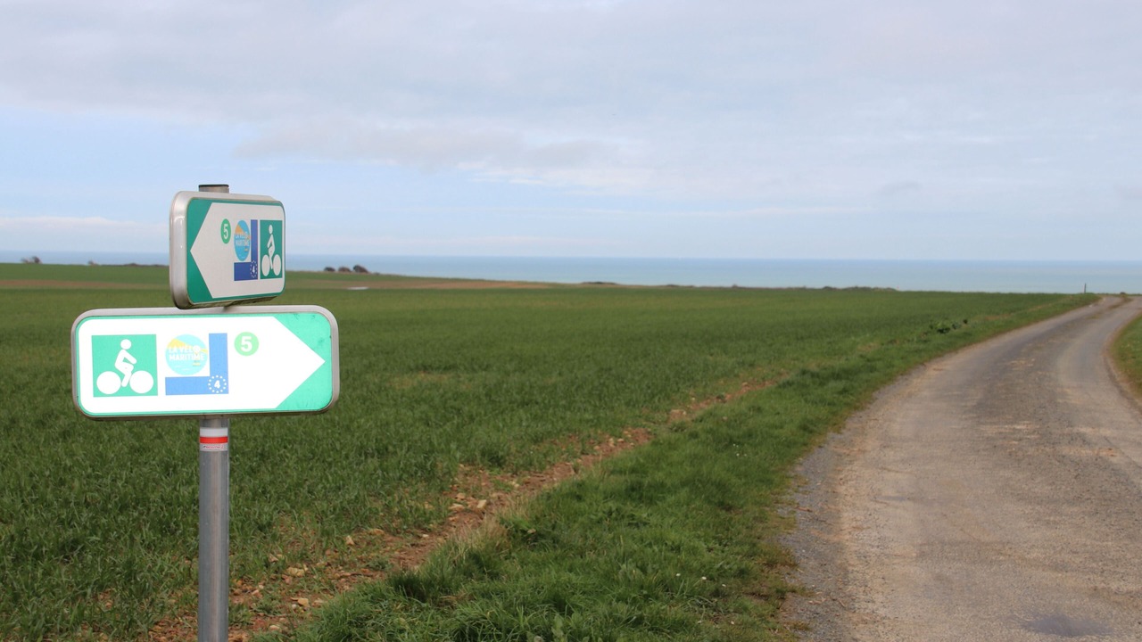 Photo of Outdoor in Tracy-sur-Mer