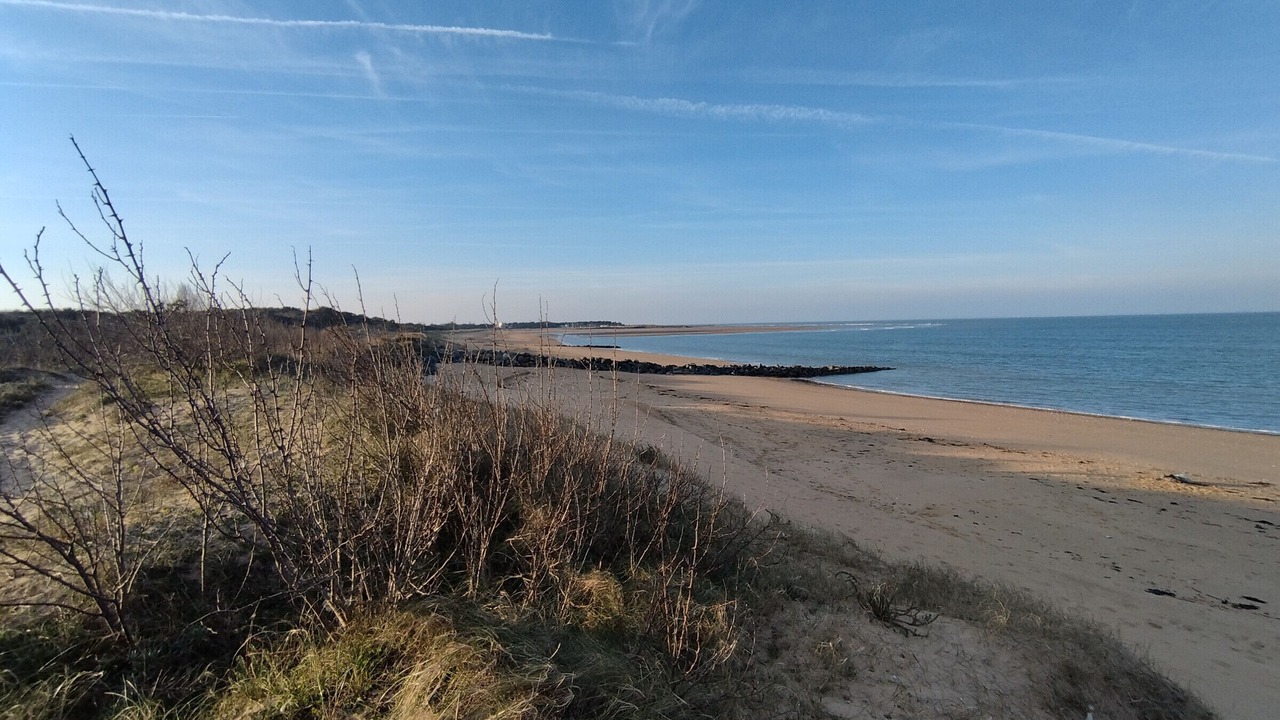Photo of Others in Saint-Georges-d'Oleron