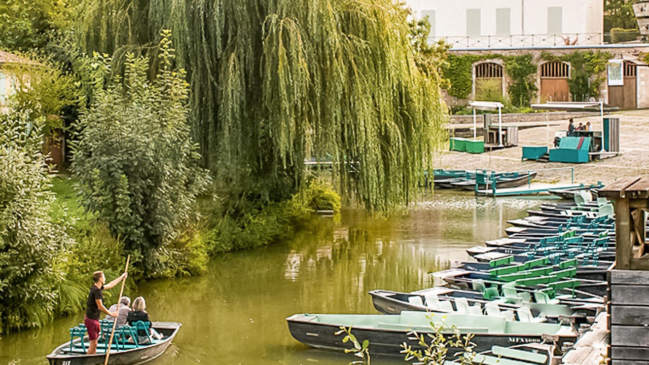 Photo of Outdoor in Coulon