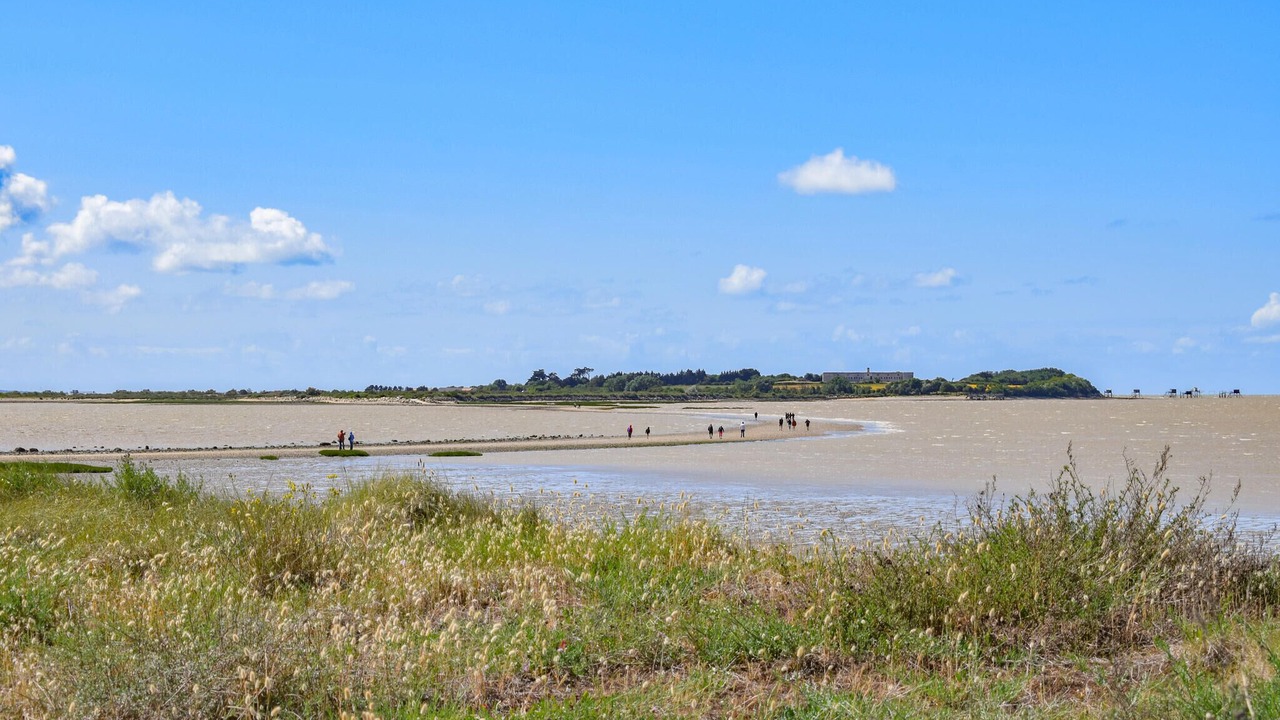 Photo of Others in Port-des-Barques