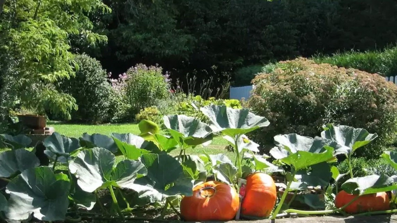 Photo of Outdoor in Commes