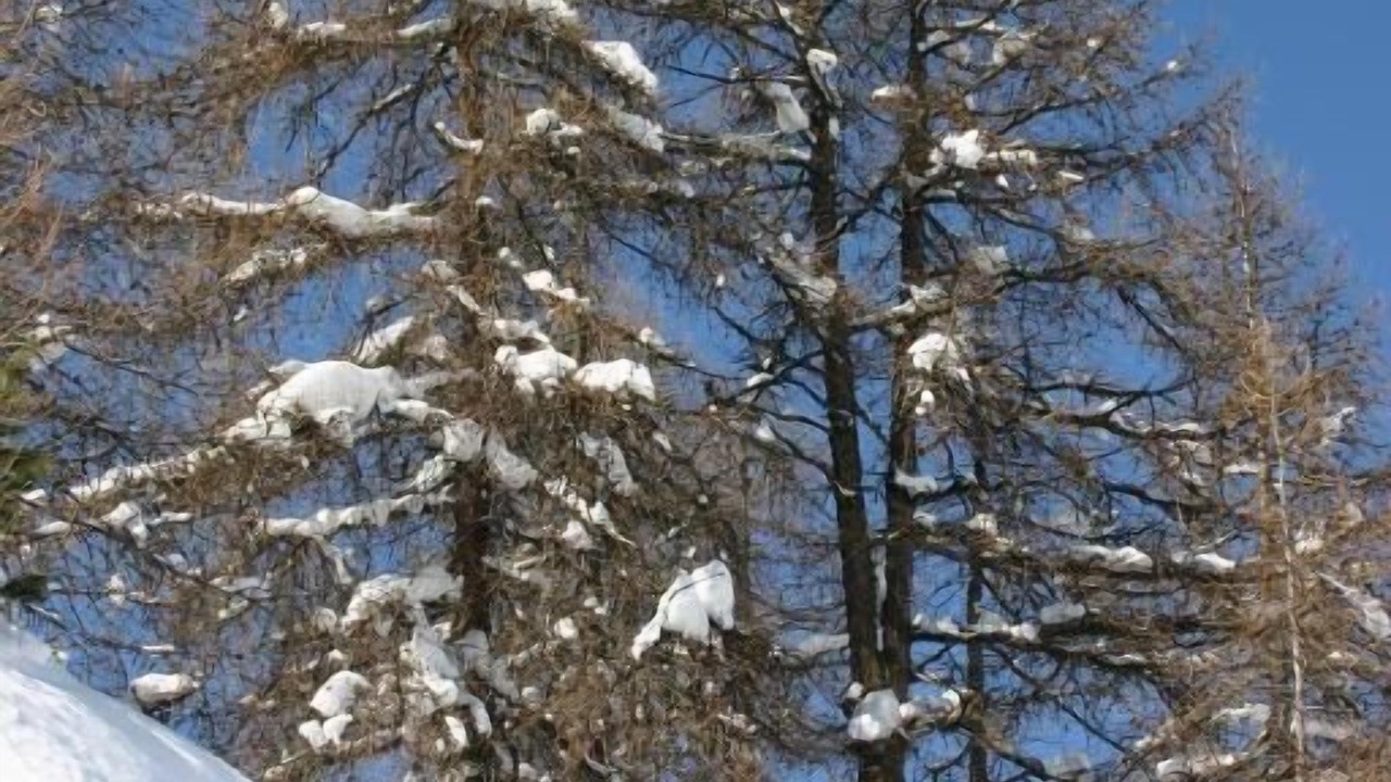 Photo of Outdoor in Plagne Soleil