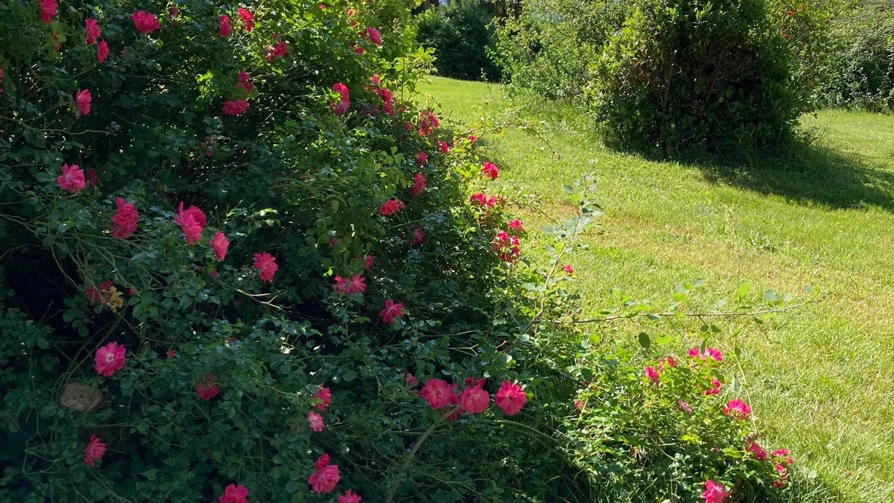 Photo of Outdoor in Tudeils