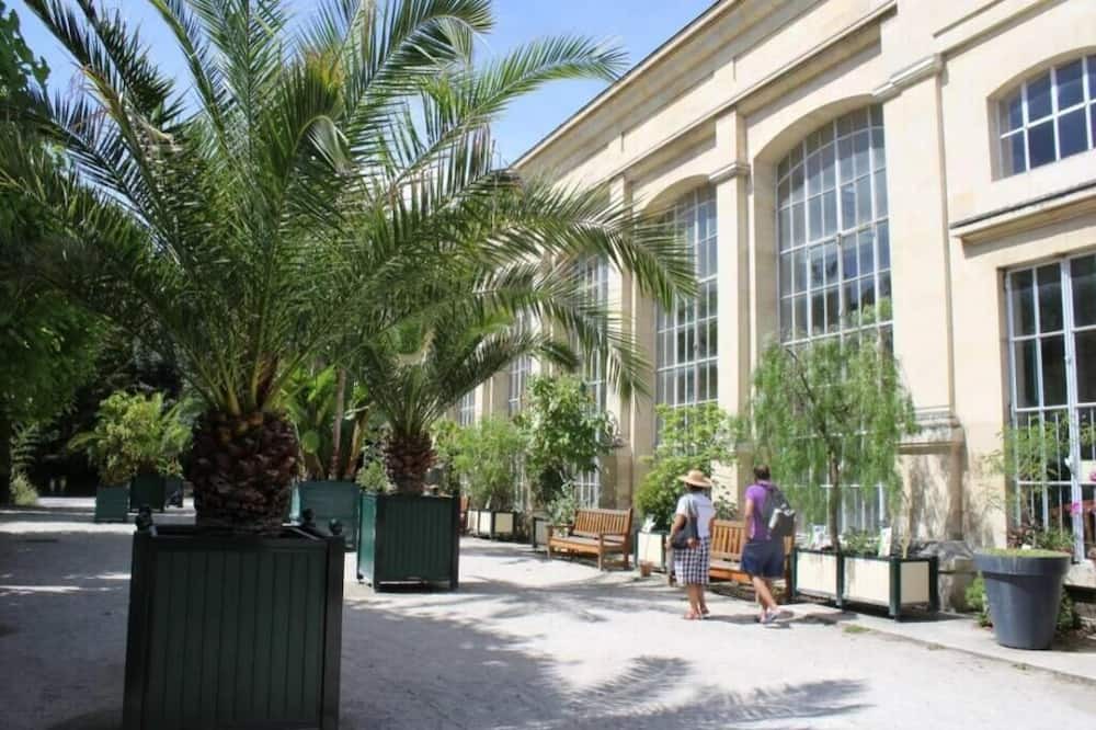 Photo of Outdoor in Saint-Jean Eudes Saint-Gilles
