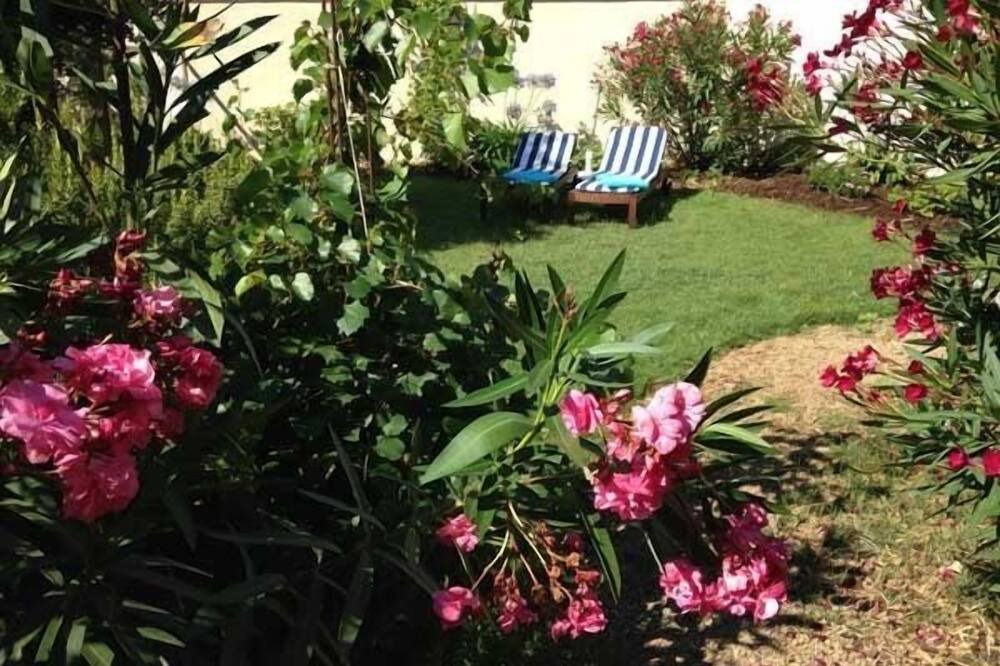 Photo of Outdoor in Paraza