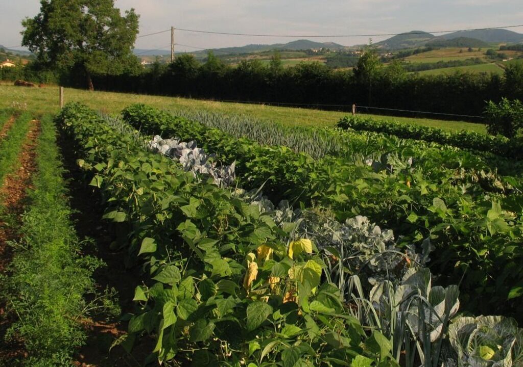 Photo of Outdoor in Saint-Laurent-d'Oingt