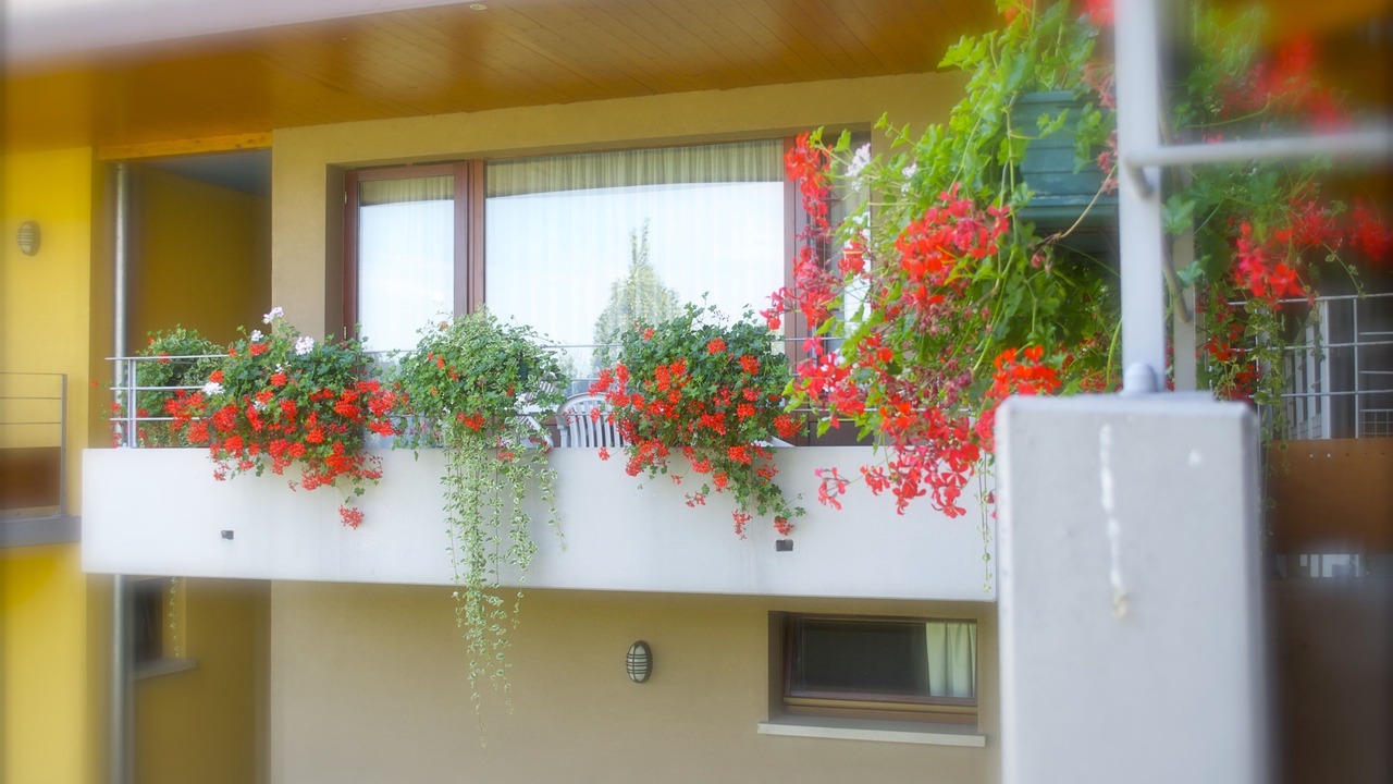 Photo of Patio Balcony in Marckolsheim
