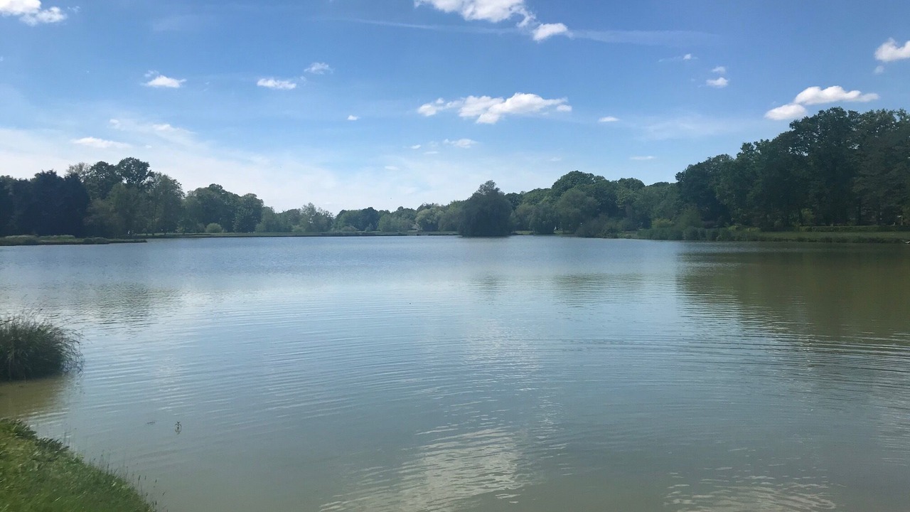 Photo of Outdoor in Bazoches-sur-le-Betz