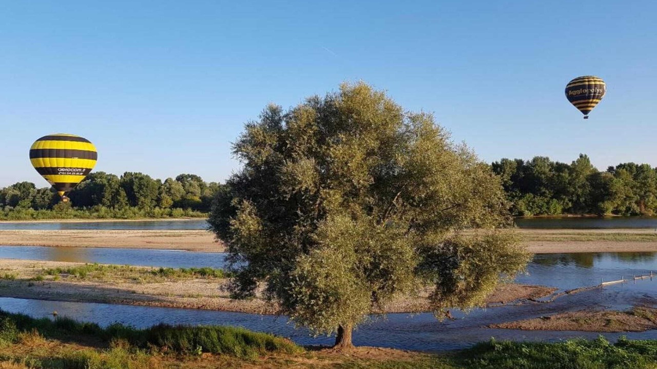 Photo of Others in Veuzain-sur-Loire
