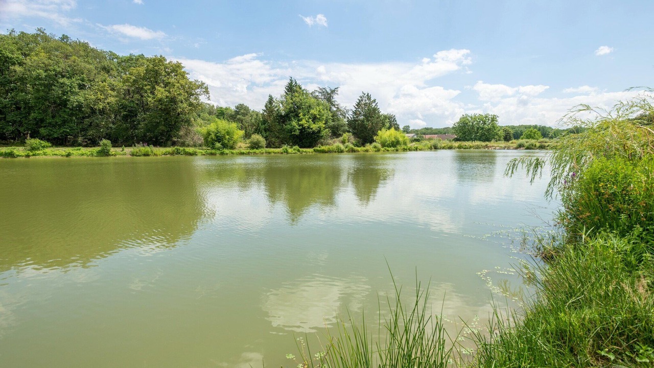 Photo of Others in Veuzain-sur-Loire