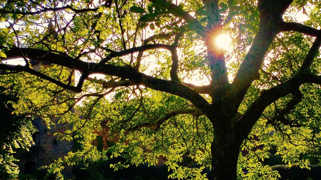 Photo of Outdoor in Villefranche-du-Perigord