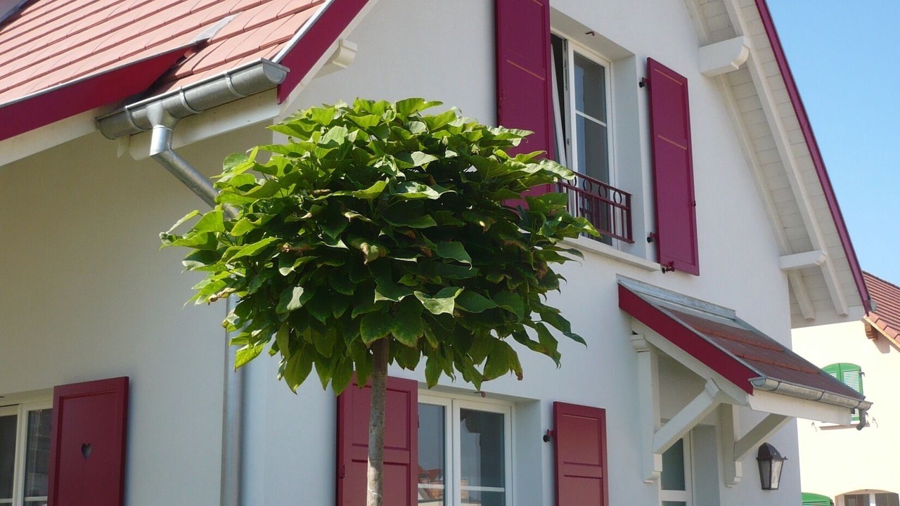 Photo of Outdoor in Eguisheim