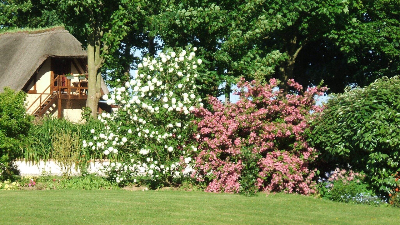 Photo of Outdoor in Le Tilleul