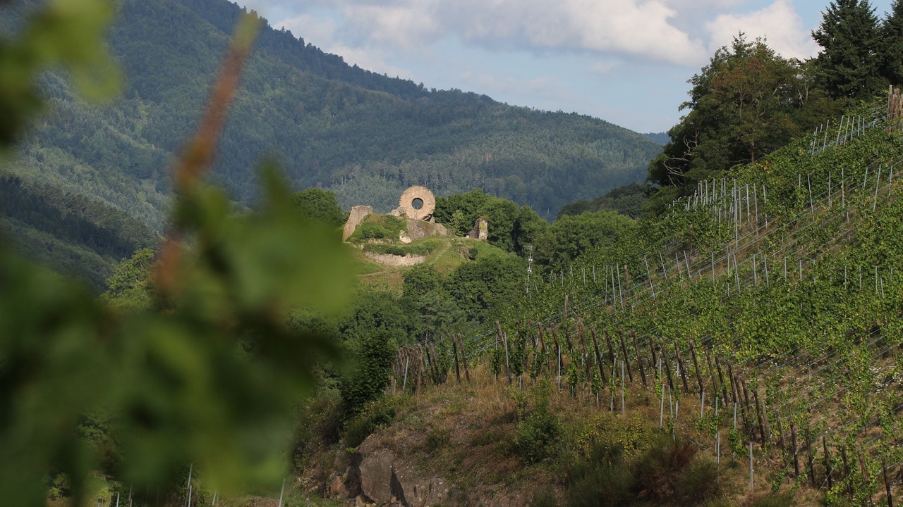 Photo of Outdoor in Thann
