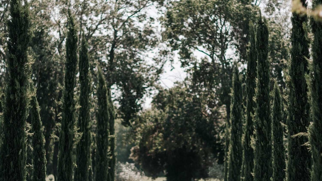 Photo of Outdoor in Lamanon