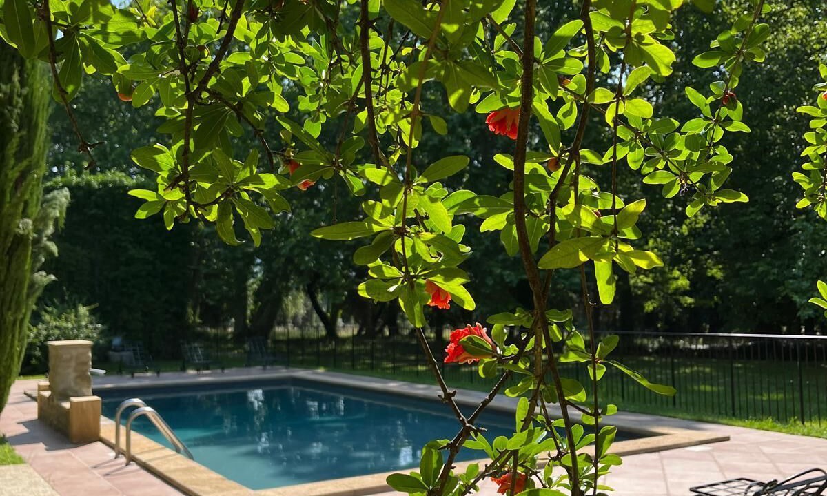 Photo of Outdoor in Lamanon