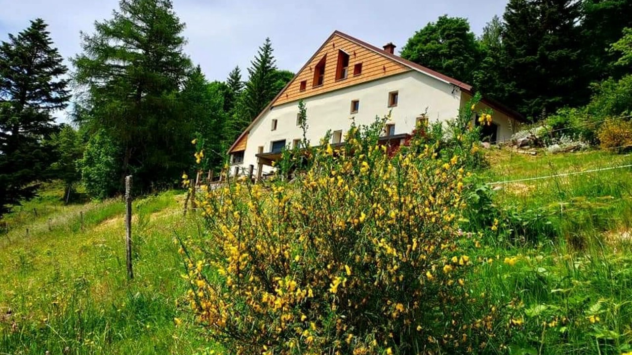 Photo of Outdoor in Ventron