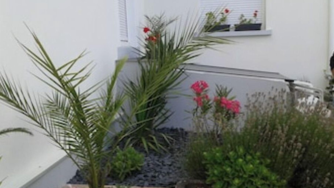 Photo of Outdoor in Saint Joseph/Mittelharth