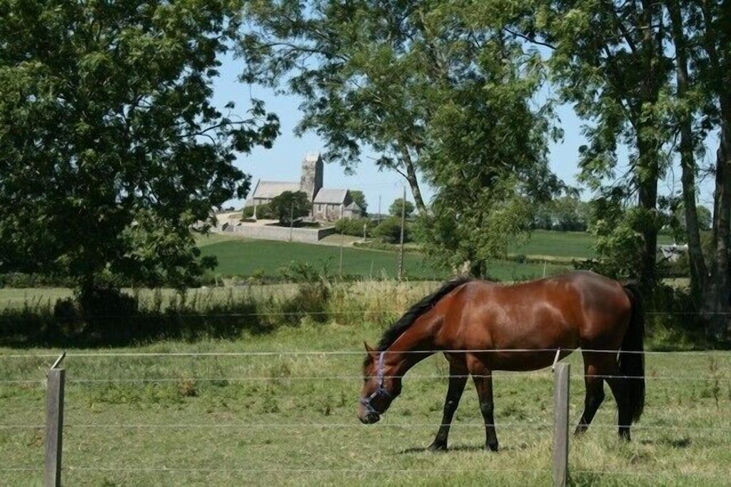 Photo of Outdoor in Montchaton