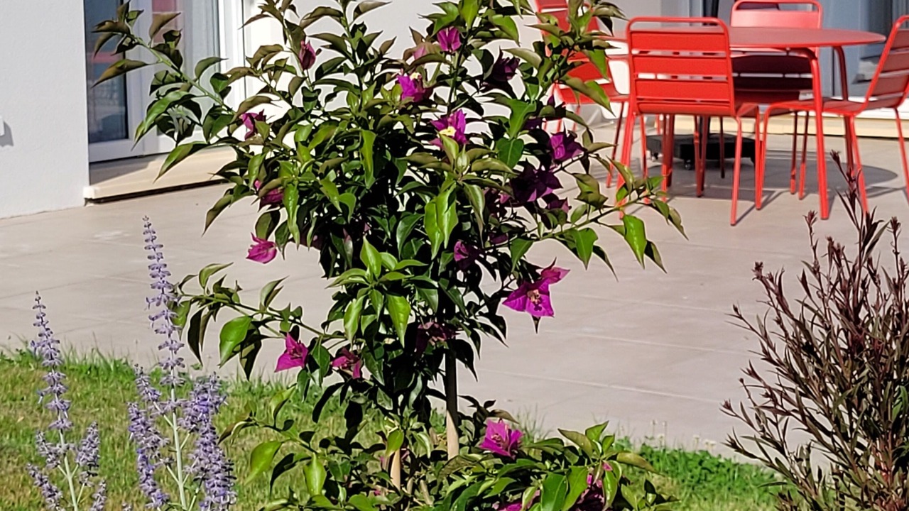 Photo of Outdoor in Lanzac
