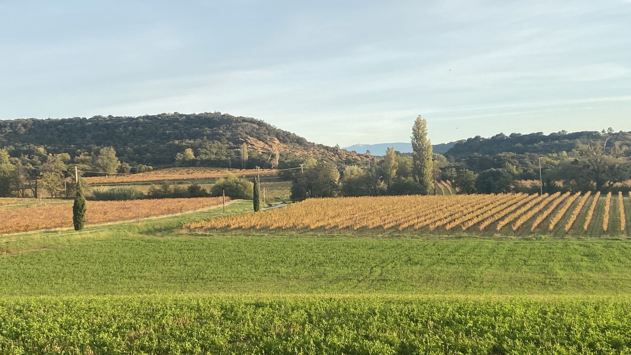 Photo of Outdoor in Le Pegue