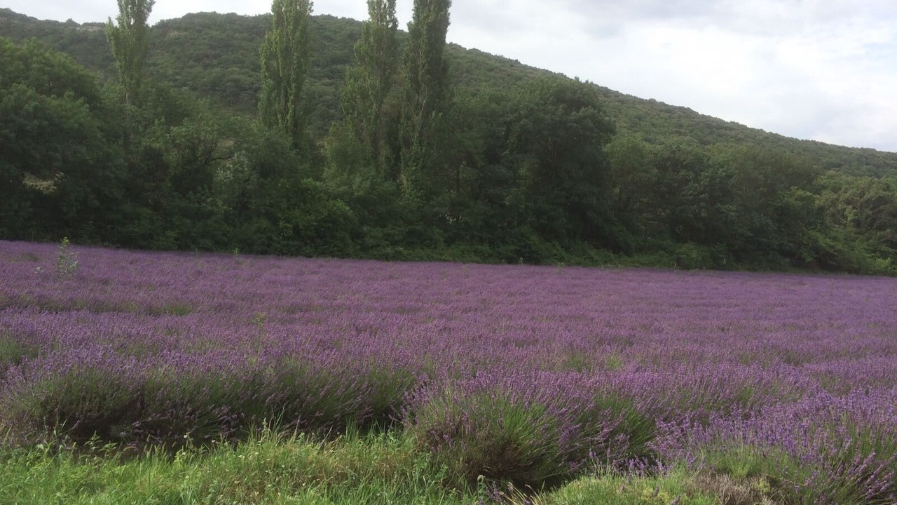 Photo of Outdoor in Taulignan