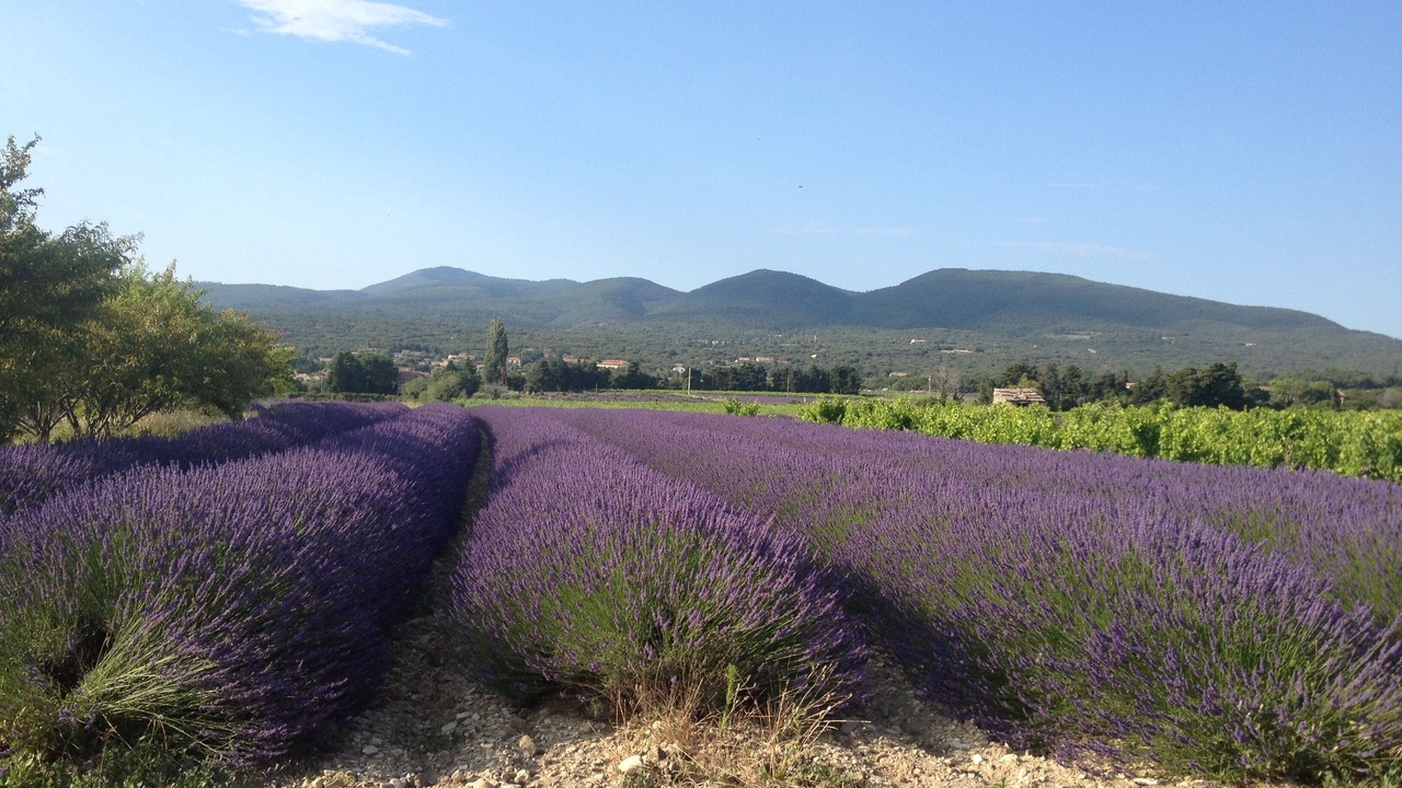 Photo of Outdoor in Taulignan