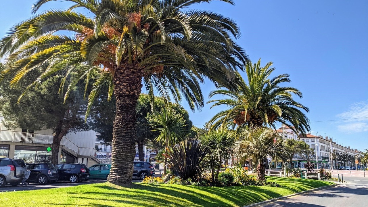 Photo of Outdoor in Saint-Augustin