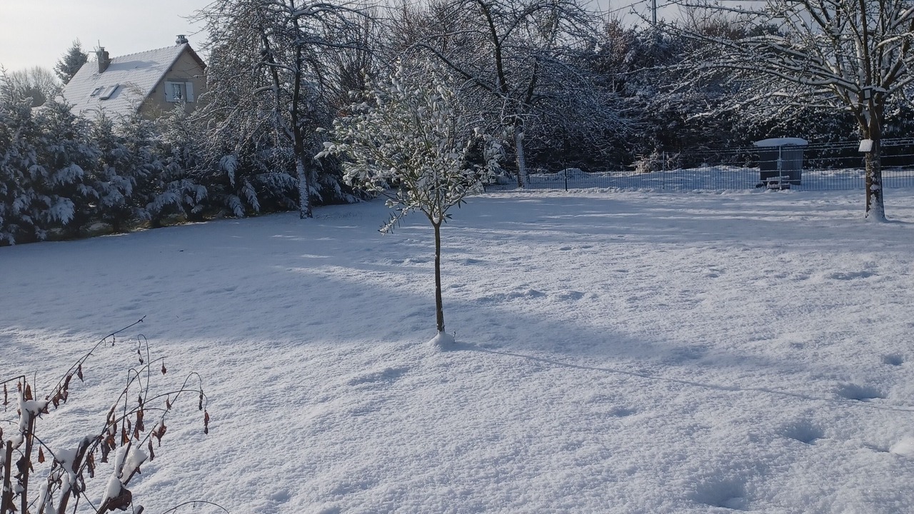 Photo of Outdoor in Saint-Ouen-du-Tilleul