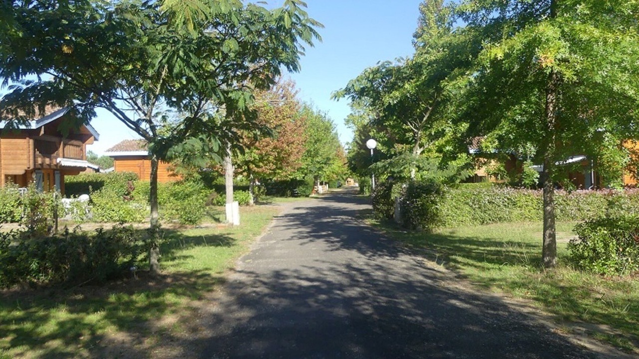 Photo of Outdoor in Bias